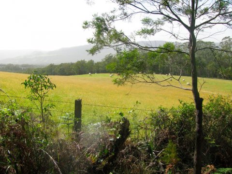 McPhails - Valley Floor, end of trail,