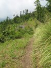 Bali Ridge Trails