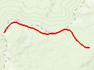 Mt Bushwalker Track